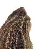 4/27 Curly Ombré Lace Front Wig w/ Highlights